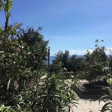 度假居 Slice Of The Atlantic 丰沙尔